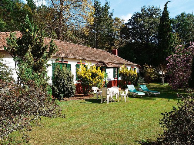 Der Garten