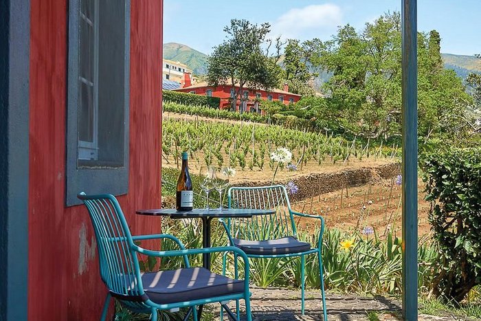 Villa Vineyard / Quinta das Vinhas