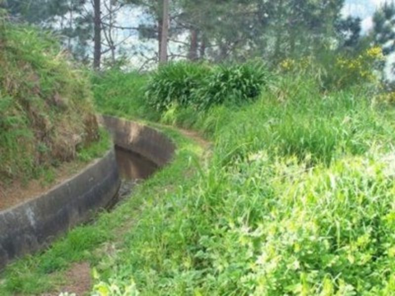 Levada - das typische Bewässerungssystem auf Madeira