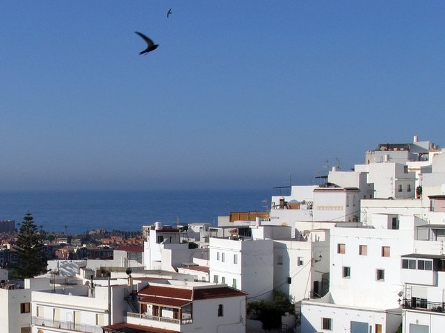Blick vn der Dachterrasse auf das Meer