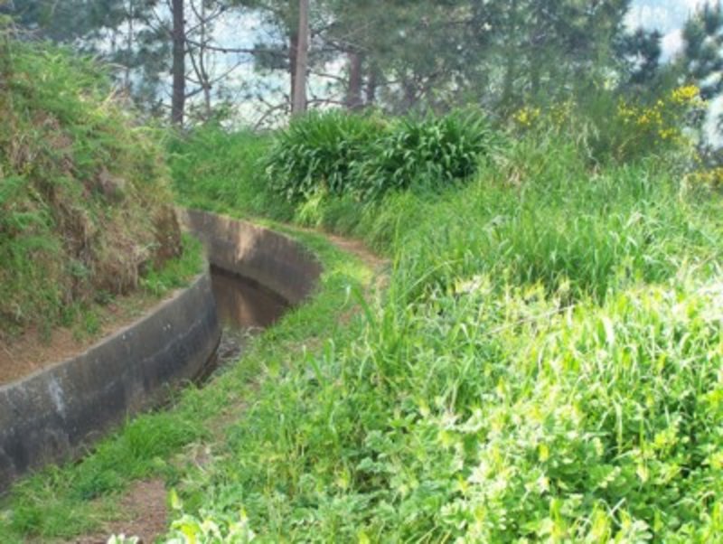 Typische Levada auf Madeira – schmaler Wasserkanal mit Begleitpfad durch grüne Landschaft, ideal für entspannte Wanderungen.