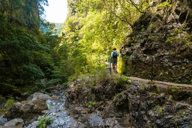 Wanderweg neben dem Wasserfall in der Levada do Caldeirao Verde auf Madeira