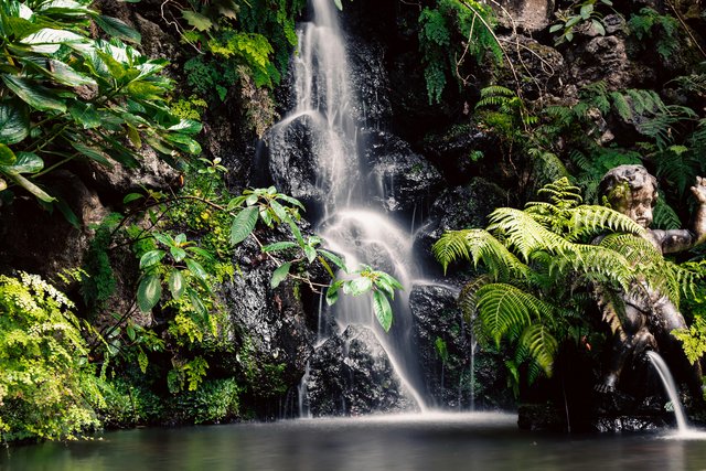 Wasserfall im Botanischen Garten in Funchal
