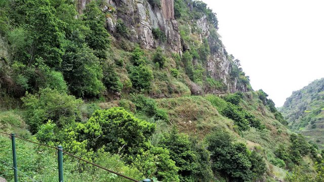Levada do Norte – eine der längsten und wichtigsten Levadas Madeiras, die sich spektakulär an steilen Hängen entlangzieht.