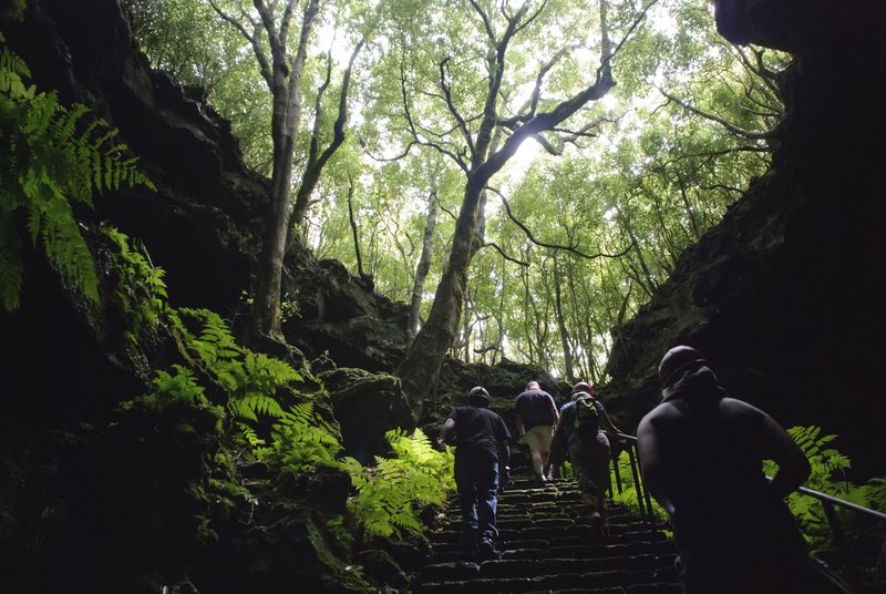 Die Lavahöhle "Gruta das Torres" auf Pico