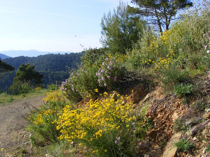 montes_de_malaga.jpg
