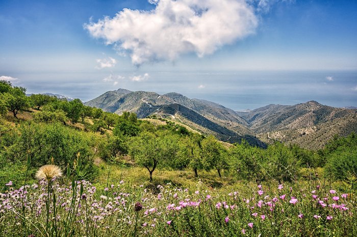region-cadiz-sierra-del-nino-mountains-4366770_1920.jpg