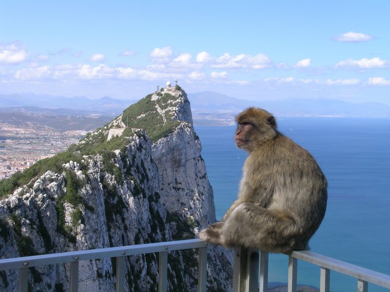 Blick auf den nördlichen Gipfel des Felsens von Gibraltar mit Radarkuppel und militärischen Anlagen, im Hintergrund die spanische Küstenebene bei La Línea de la Concepción